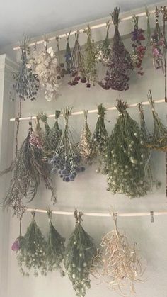 dried flowers hanging on a wall in a room