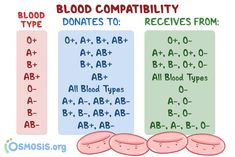 blood comparison chart with three types of blood and the words blood compaibity