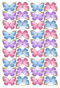 butterflies with different colors and patterns on them, all arranged in the same square shape