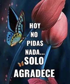 an image of a flower with butterflies on it and the words, hoy no pidas nadda soloo agradece