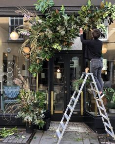 a man standing on a ladder next to plants