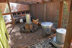 an image of a backyard with chickens and buckets on the ground next to it