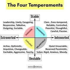 The Four Temperaments The Four Humours, The Four Temperaments, 4 Temperaments Personality Types, Phlegmatic Temperament, Temperaments Personality, 4 Temperaments, Temperament Types, All Personality Types, Four Temperaments