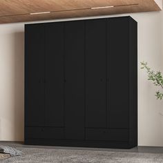 an empty room with a black cabinet next to a potted plant on the floor