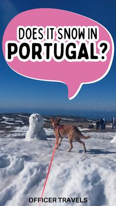 a dog on a leash pulling a snowman behind it with the caption does it snow in portugal?