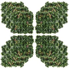 four different views of the top view of a green bush with leaves on white background