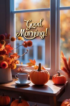 a window sill filled with lots of pumpkins next to a cup and saucer