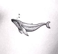 a drawing of a whale with its mouth open and some birds flying by it's side