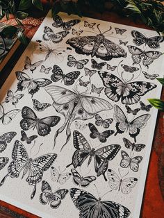 a table topped with lots of butterflies on top of it