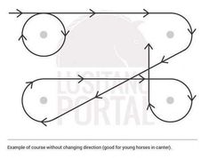 the diagram shows how to draw a horse's nose with two different angles and directions