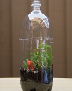 a glass bottle filled with plants sitting on top of a table