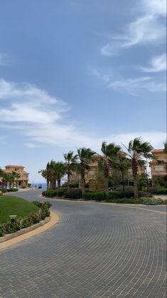 an empty street with palm trees and buildings in the background