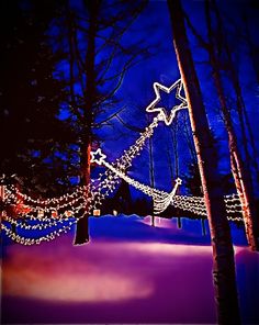 christmas lights decorate trees and snow in the night time scene with stars on them, as well as an arrow