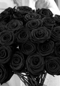 a bunch of black roses in a vase