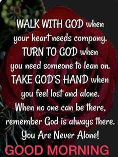 a red rose with the words, walk with god when your heart needs company turn to god