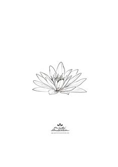 https://www.instagram.com/hazalkultattooer/ Waterlilly Tattoo Drawing, Water Lilies Tattoo, Water Lily Tattoo Design, Lotus Flower Sketch, Waterlilly Tattoo, Water Lily Drawing, Simple Lotus Flower Tattoo, Water Lily Tattoo, Small Lotus Tattoo