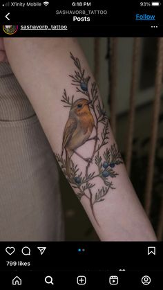 a small bird sitting on top of a tree branch with blue berries and leaves around it