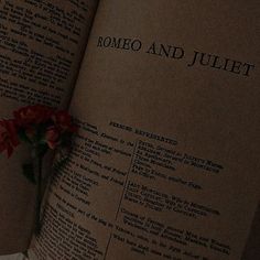 a red flower sitting on top of an open book with the words rome and juliaet