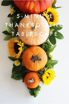 an arrangement of pumpkins and sunflowers arranged on a wall