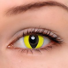 Reptile Glow coloured contacts are designed for cosplayers. Gruesome and horrible, mysterious and scaring; Worldwide free shipping! Yellow Eye Contacts, Yellow Contacts, Color Contacts For Halloween, Coloured Contacts, Prescription Contact Lenses, Green Colored Contacts, Eye Contacts, Halloween Contact Lenses