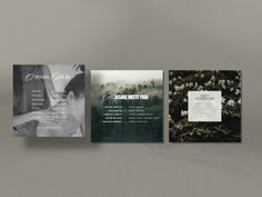 three different brochures are displayed on a gray surface with white flowers in the foreground