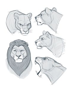 sketches of the lion's heads from different angles and sizes, including one head with an