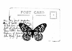 a black and white drawing of a butterfly on a postcard