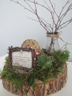 there is a small tree stump with plants in it and a sign on the log