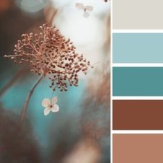 the color palette is brown, teal, and blue with some white flowers on it