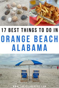 A cluster of seashells on the beach, the best fried shrimp in a basket with fries and two blue and white beach lounge chairs on Orange Beach, Alabama. Where To Stay In Gulf Shores Alabama, Things To Do In Alabama, Beach Vacation Meals, Blog Examples, Foley Alabama, Beach 2023