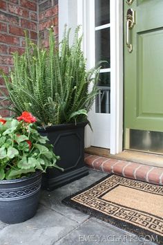 two potted plants sitting on the front steps of a house next to a door