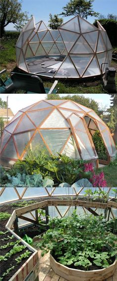 several different types of greenhouses are shown in this collage, including one with plants and