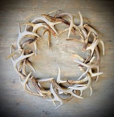 antlers arranged in a circle on a wooden surface