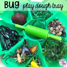 a bug play dough tray filled with bugs, rocks and other things to make it fun for kids