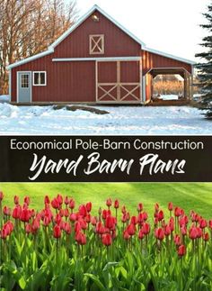 a barn with red tulips in the foreground and an image of a field full