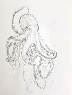 an octopus drawing on white paper with black and white ink, it's head turned to the right