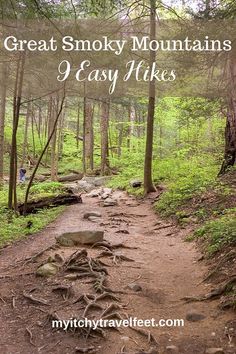 a trail in the woods with text overlay that reads great smoky mountains easy hikes