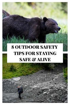 a black bear standing on top of a grass covered field next to a river with the words outdoor safety tips for staying safe and alive