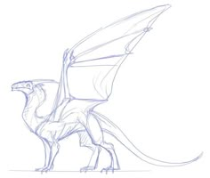 a drawing of a dragon with its wings spread out, standing on one leg and facing the opposite direction