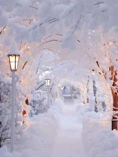 a pathway covered in snow next to street lamps and trees with white lights on them