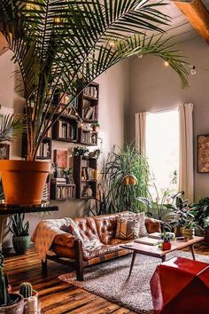 a living room filled with lots of plants and furniture