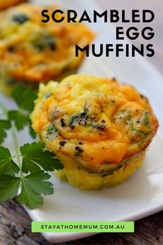 egg muffins on a white plate with parsley garnish and the words egg muffins above it