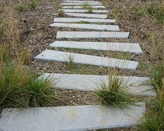 a set of stone steps with grass growing between them