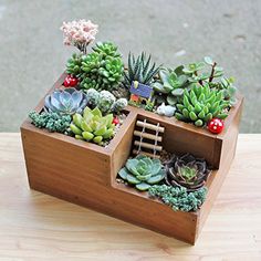 a wooden box filled with succulents and plants on top of a table