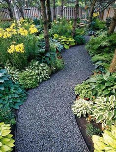 a garden with lots of plants and gravel