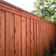 a brown wooden fence next to a tree