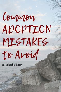 the words common adoption makes to avoid are overlaid by rocks and water on a beach