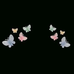 four butterflies are flying in the dark