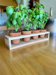 three potted plants are on a shelf in the middle of a wooden flooring area