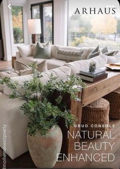 a living room filled with furniture and a large plant in a vase on the coffee table